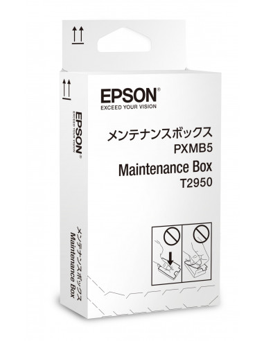 Maintenance Box Epson T295000
