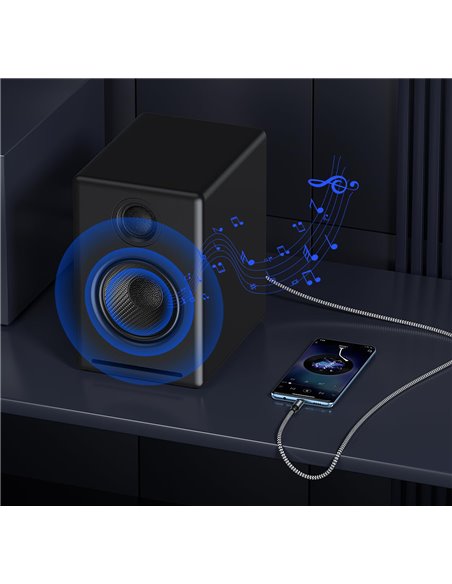 POWERTECH καλώδιο ήχου USB-C σε Toslink CAB-UC091, 1m, γκρι