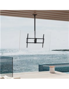 BRATECK βάση τηλεόρασης οροφής PLB-CE1568XL, 50-100", έως 80kg, heavy duty