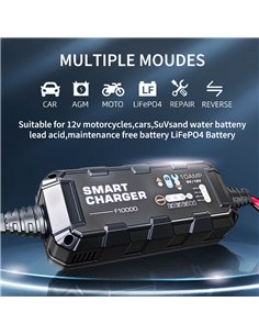 BYGD φορτιστής & συντηρητής μπαταρίας αυτοκινήτου F10000, 6V/2A 12V/10A