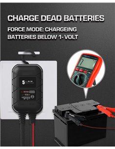 BYGD φορτιστής & συντηρητής μπαταρίας αυτοκινήτου S5000, 6V/2A 12V/5A