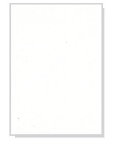 Χαρτόνι λευκό FBB, 50τεμ, Α4 250γρ.