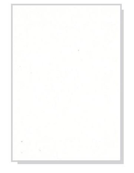 Χαρτόνι λευκό FBB, 50τεμ, Α4 250γρ.