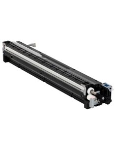 Developer Copier Ricoh Cyan - 120K Pgs