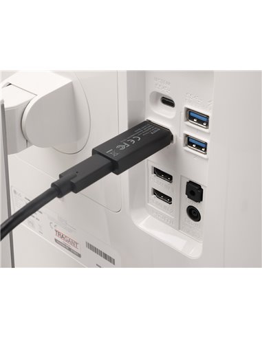 DELOCK αντάπτορας DisplayPort σε USB-C 61078, 8K/60Hz, μαύρος