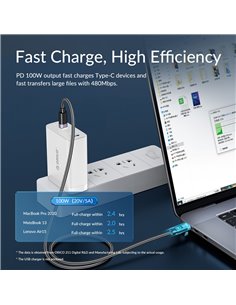 ORICO καλώδιο USB-C C2CZ, 100W, 480Mbps, 1m, μαύρο