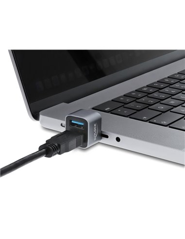 DELOCK mini USB hub 64359, 2x θυρών, USB 3.2, 10Gbps, USB-C σύνδεση, γκρι