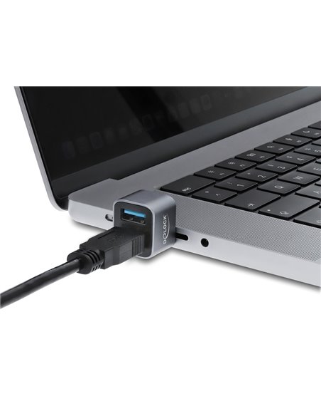 DELOCK mini USB hub 64359, 2x θυρών, USB 3.2, 10Gbps, USB-C σύνδεση, γκρι