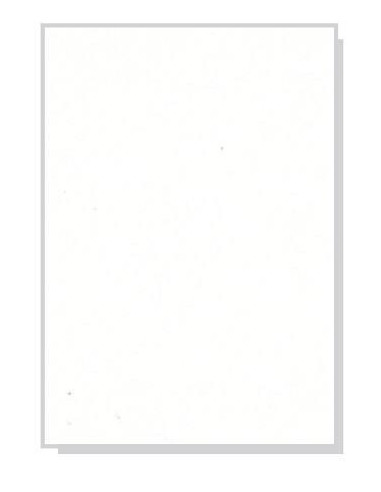 Χαρτόνι λευκό FBB, 50τεμ, Α4 250γρ,