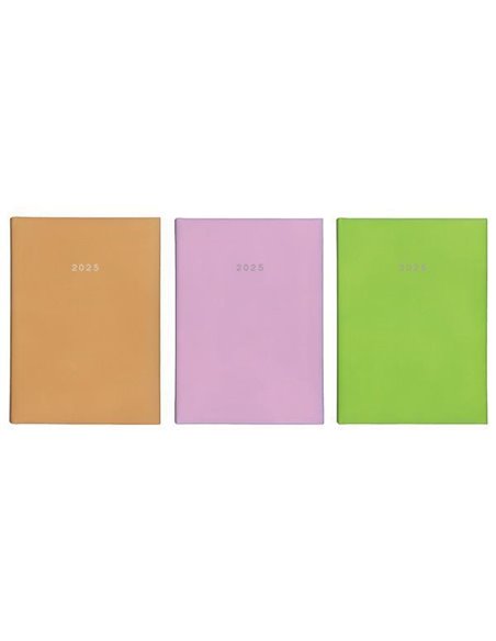 Next ημερολόγιο 2025 status ημερήσιο δετό 12x17εκ.