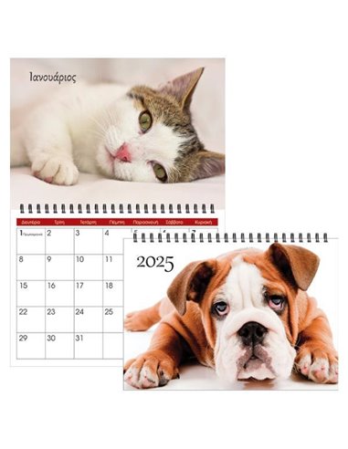 Next μηνιαίο πλάνο τοίχου 2025 dogs - cats σπιράλ 20x23εκ., 13φ.