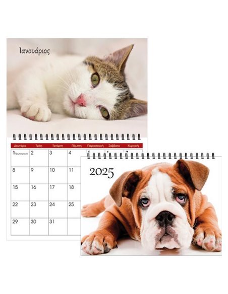 Next μηνιαίο πλάνο τοίχου 2025 dogs - cats σπιράλ 20x23εκ., 13φ.