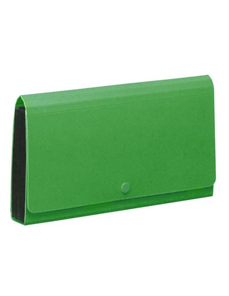 Comix αρχειοθήκη επιταγών PP πράσινη Υ26,2x14.5x3εκ.