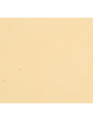 Χαρτί φωτοαντ. σομόν, Α4, 80γρ, 500φ.