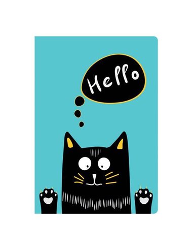 Next funny cat τετράδιο καρφίτσα 17x25εκ. 40φ.