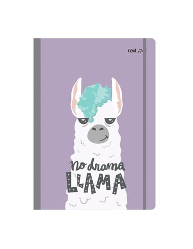 Next trends lama τετράδιο flexi λάστιχο 21x29εκ. 2θεμ. 80φ.