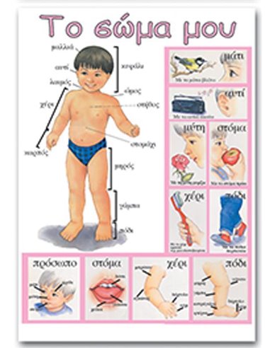 Next εκπαιδευτική αφίσα "Το σώμα μου" Ελληνικά 50x70εκ.