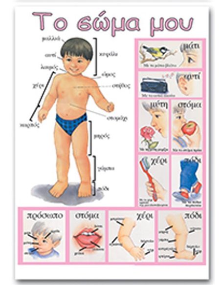 Next εκπαιδευτική αφίσα "Το σώμα μου" Ελληνικά 50x70εκ.