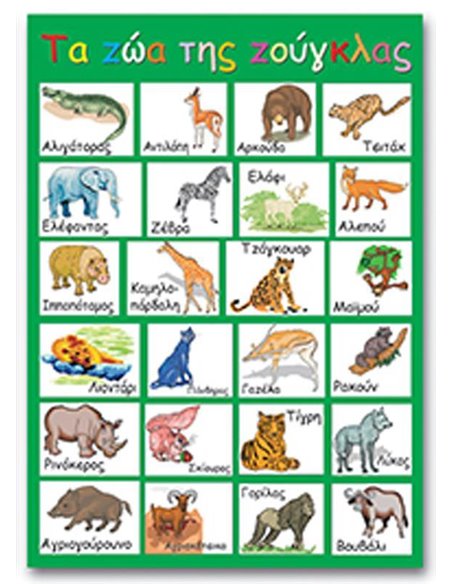Next εκπαιδευτική αφίσα "Τα ζώα της ζούγκλας" 50x70εκ.