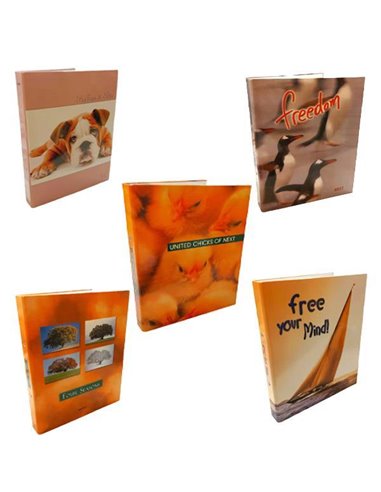 Next κλασέρ διάφορα σχέδια με 2 κρίκους Υ26x32x3εκ.