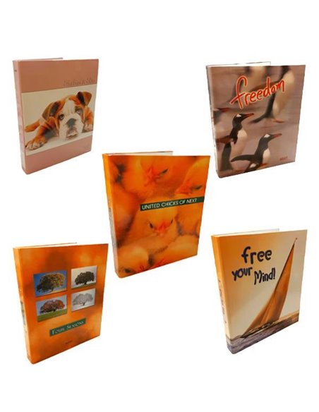 Next κλασέρ διάφορα σχέδια με 2 κρίκους Υ26x32x3εκ.