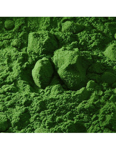 Buonarroti σκόνη αγιογραφίας πράσινο τσιμέντου 110gr