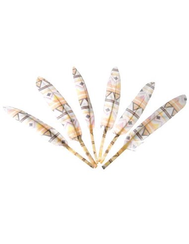 Φτερά χήνας χρωματισμένα με μοτίβα, 15-17 εκ., 6τεμ. σε blister