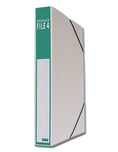 Next κουτί αρχειοθέτησης λευκό πράσινo Υ36x27x4εκ.