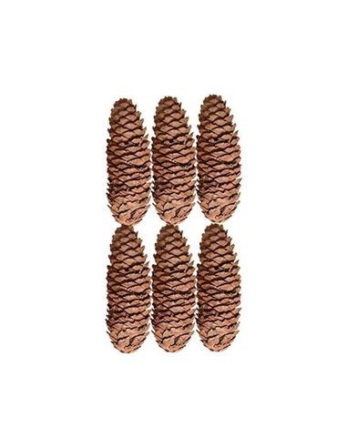 Χριστουγεννιάτικα διακοσμητικά κουκουνάρια 6,5-7εκ. 12τμχ.