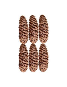 Χριστουγεννιάτικα διακοσμητικά κουκουνάρια 10-11εκ. 6τμχ.