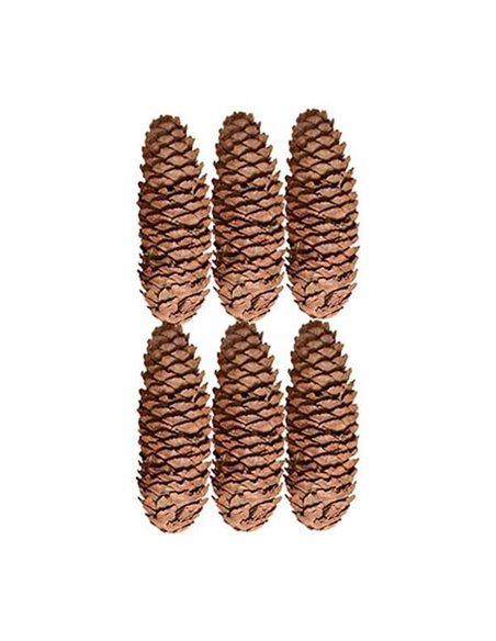 Χριστουγεννιάτικα διακοσμητικά κουκουνάρια 10-11εκ. 6τμχ.