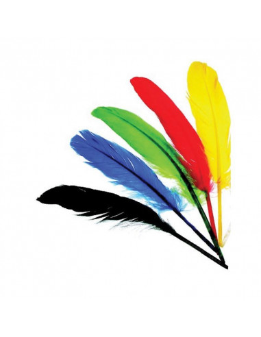 Φτερά ινδιάνου διάφορα χρώματα 12-15εκ.