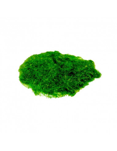 Γρασίδι νάυλον πράσινο 50gr.