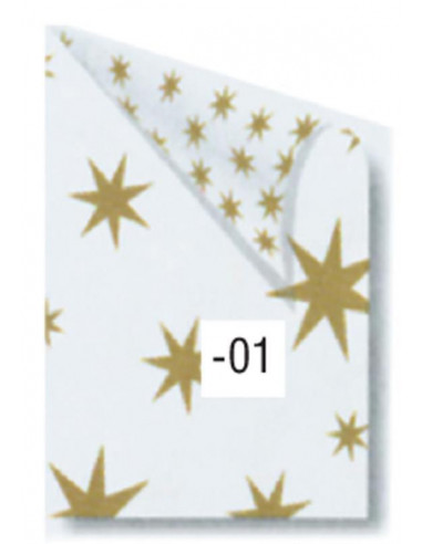 Rainbow χαρτόνι λευκό με χρυσά αστέρια 50x70εκ.